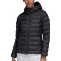 Synthetic Fill Hooded Jacket Women
