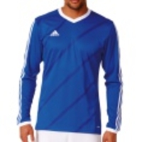 Tabela 14 LS Jersey