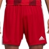 Tastigo 19 Shorts