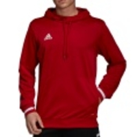 TEAM19 Hoody