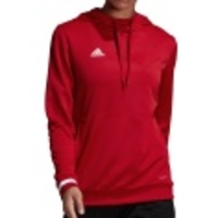 TEAM19 Hoody Women