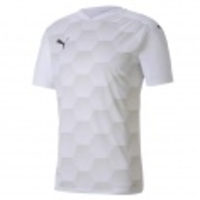 teamFINAL 21 Graphic Jersey