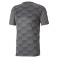 teamFINAL 21 Graphic Jersey