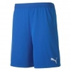 teamFINAL 21 Knit Shorts