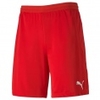 teamFINAL 21 Knit Shorts