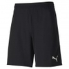 teamFINAL 21 Knit Shorts