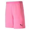 teamFINAL 21 Knit Shorts