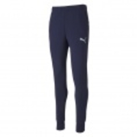 teamGOAL 23 Casuals Pants