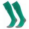teamLIGA Football Core Socks