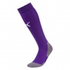 teamLIGA Football Core Socks