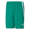 teamLIGA Short