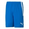 teamLIGA Short