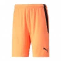 teamLIGA Short