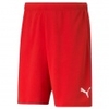 teamRISE Short