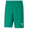 teamRISE Short