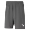 teamRISE Short