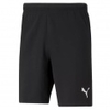 teamRISE Short