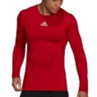 Techfit Warm Compression LS