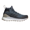 Terrex Free Hiker GTX Boost