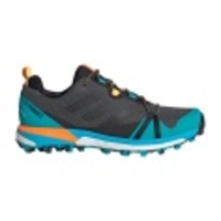 Terrex Skychaser LT Boost GTX