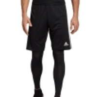 Tiro 19 2in1 Short