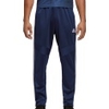 Tiro 19 Polyester Pant