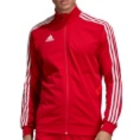 Tiro 19 Training Jacket
