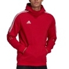 Tiro 21 Sweat Hoodie