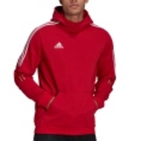 Tiro 21 Sweat Hoodie