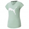Train Favorite Heather Cat Tee Women