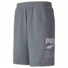 Train Rebel 9 Inch Short