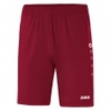 Trainingsshort Premium