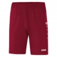 Trainingsshort Premium