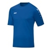 Trikot Team Kurzarm