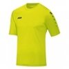 Trikot Team Kurzarm
