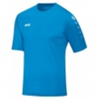 Trikot Team Kurzarm