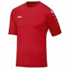 Trikot Team Kurzarm