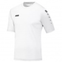 Trikot Team Kurzarm