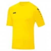 Trikot Team Kurzarm