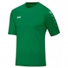 Trikot Team Kurzarm