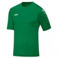 Trikot Team Kurzarm