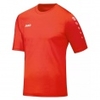 Trikot Team Kurzarm
