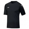 Trikot Team Kurzarm