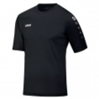 Trikot Team Kurzarm
