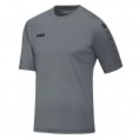 Trikot Team Kurzarm