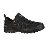 Wildfire Edge GTX