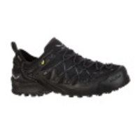 Wildfire Edge GTX