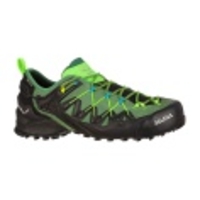 Wildfire Edge GTX