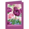 Gefüllte Tulpenköpfe in violett