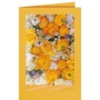 Gelbe Blüten